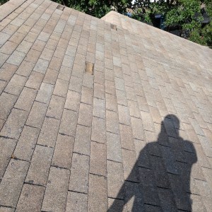 Clean and durable roof